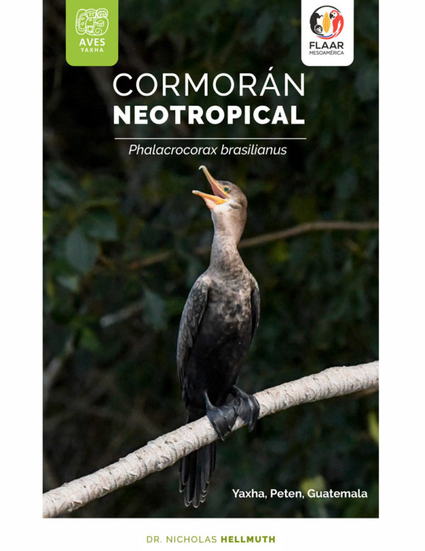 Cormoran-vol1-Birds-Yaxha-FLAAR-Mesoamerica-Nov-2018