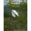 Egretta-thula-garcita-blanca-Aves-Yaxha-FLAAR-Mesoamerica-Ene-2019-esp-cover