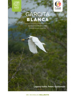 Egretta-thula-garcita-blanca-Aves-Yaxha-FLAAR-Mesoamerica-Ene-2019-esp-cover