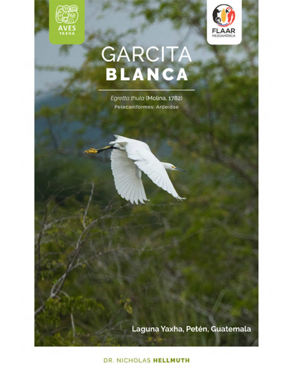 Egretta-thula-garcita-blanca-Aves-Yaxha-FLAAR-Mesoamerica-Ene-2019-esp-cover