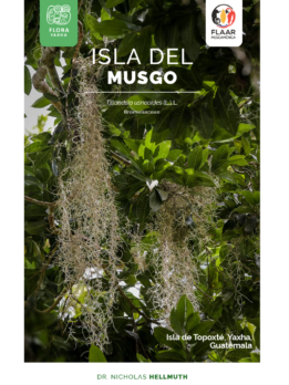 Musgo-Topoxte-vol1-Flora-Yaxha-FLAAR-Mesoamerica-Jan-2019-ES-cover