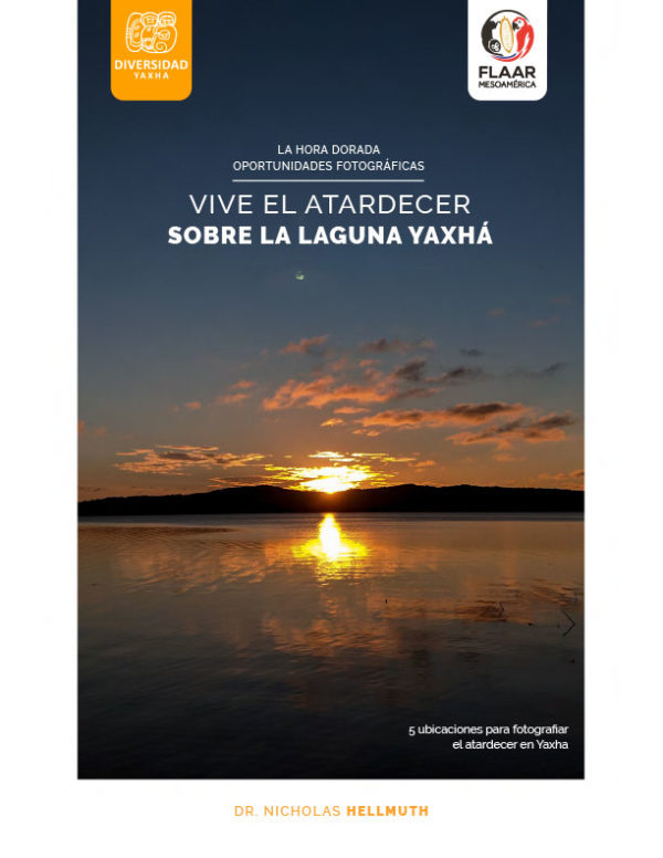 Yaxha-report-sunset-Atardeceres-FLAAR-Mesoamerica-2-edicion-ASD-1