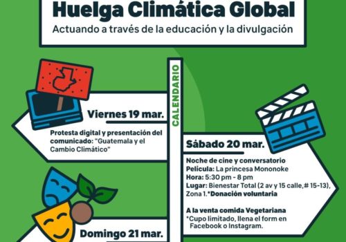huelga-climatica-flaar-mesoamerica-2021