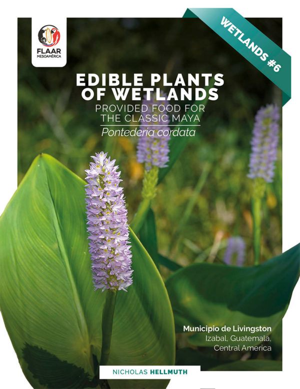 Pontederia cordata-edible-wetlands-plants-livingston-Nicholas-Hellmuth-FLAAR-2021-AG-cover