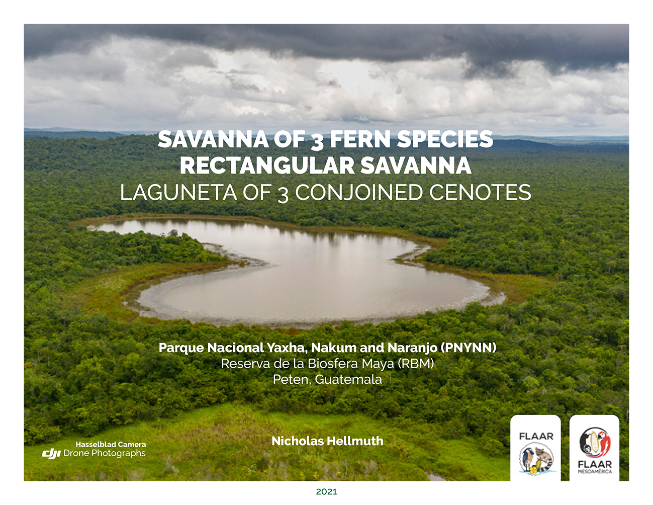 Savanna-3-Fern-species-Laguneta-3-Conjoined-Cenotes-PNYNN-RBM-Haniel-Lopez-drone-photos-horizontal-Hellmuth-text-FLAAR-reports