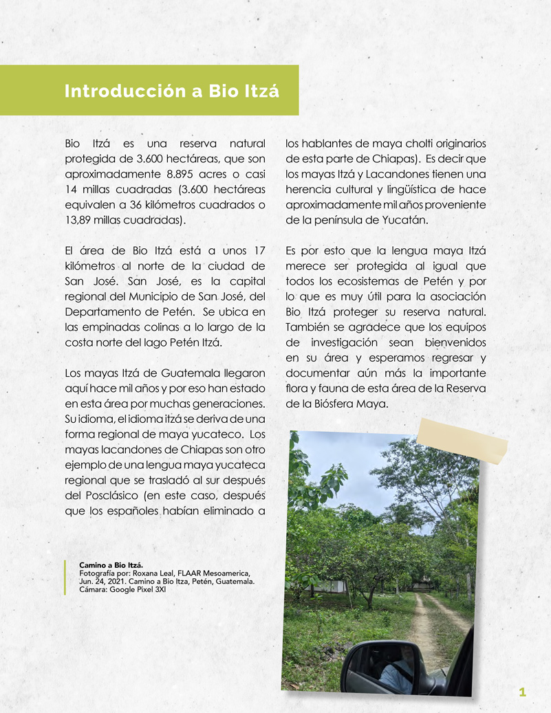 Introducción a la Flora y Fauna de Bio Itzá y su potencial para futuras  investigaciones