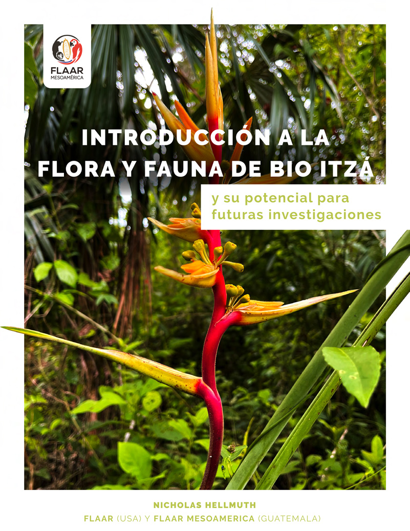 Introducción a la Flora y Fauna de Bio Itzá y su potencial para futuras  investigaciones