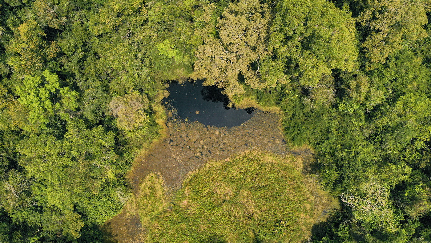 New ecosystems documented - FLAAR MESOAMERICA