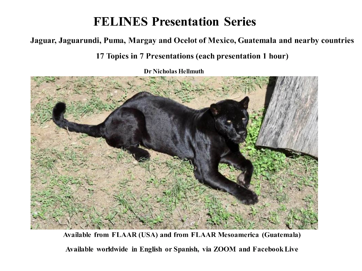 Jaguar Feline Lectures Abstracts