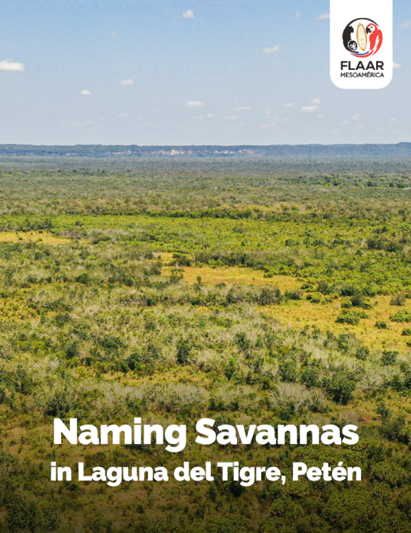 RBM-Peten-PNLT-Redefining-Savanna-25-30-to-33-new-34-35-Nicholas-Hellmuth-AG-FLAAR-Reports-cover