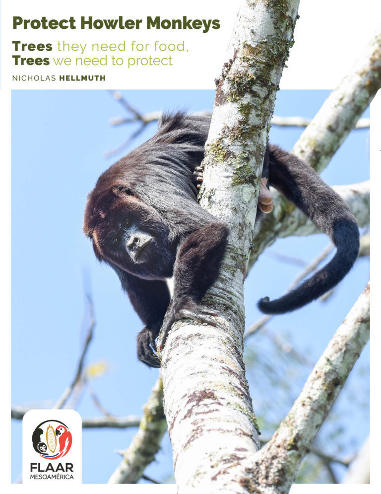 Protect Howler Monkeys FLAAR MESOAMERICA