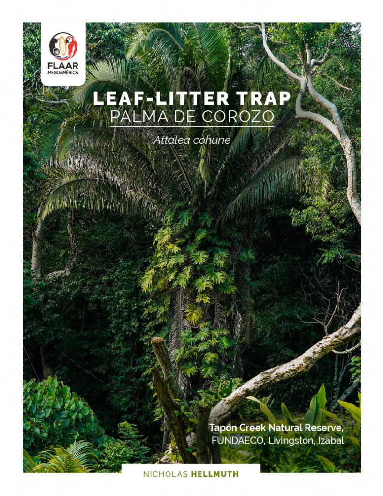 Leaf litter traps FLAAR MESOAMERICA