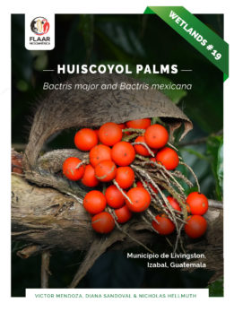 Bactris-major-and-Bactris-mexicana-huiscoyol-palms-PDF-FLAAR-December-2022-english-cover