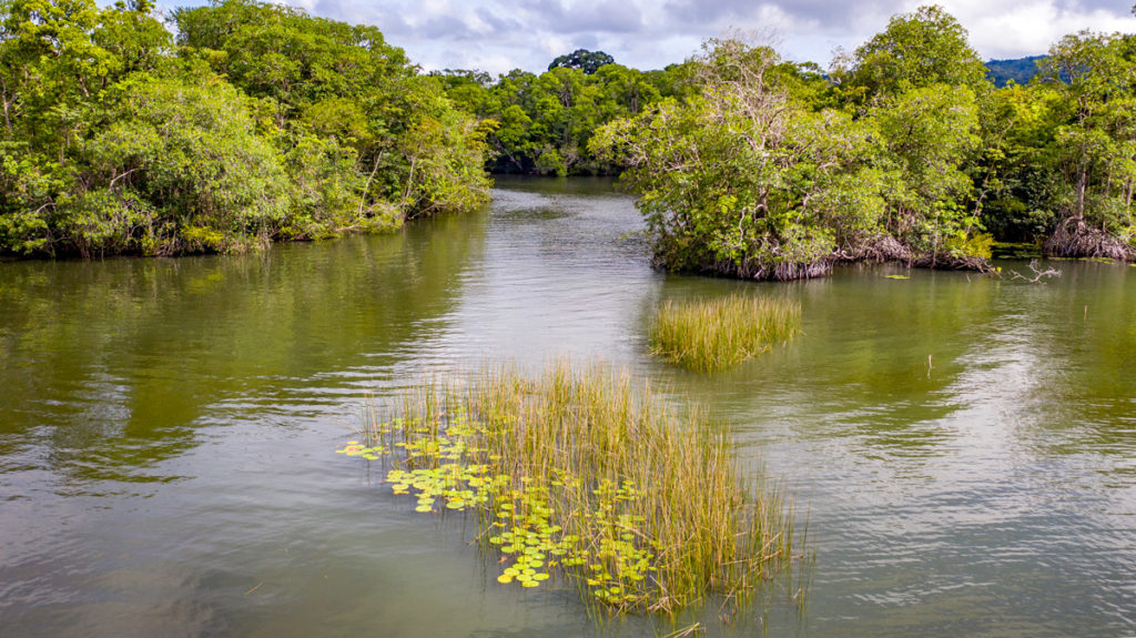 Lagunita-El-Salvador,-El-Golfete,-Río-Dulce--DJI_0865_edited