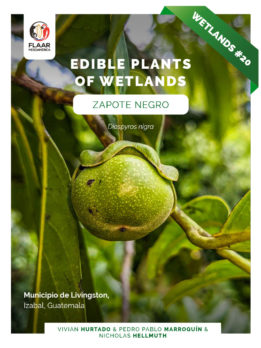 Livingston-project-Diospyros-nigra-Zapote-negro-edible-plants-of-wetlands-nov-2022-NH-CR -cover