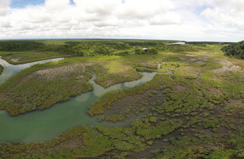The Study of Wetlands Cover Guatemala FLAAR MESOAMERICA