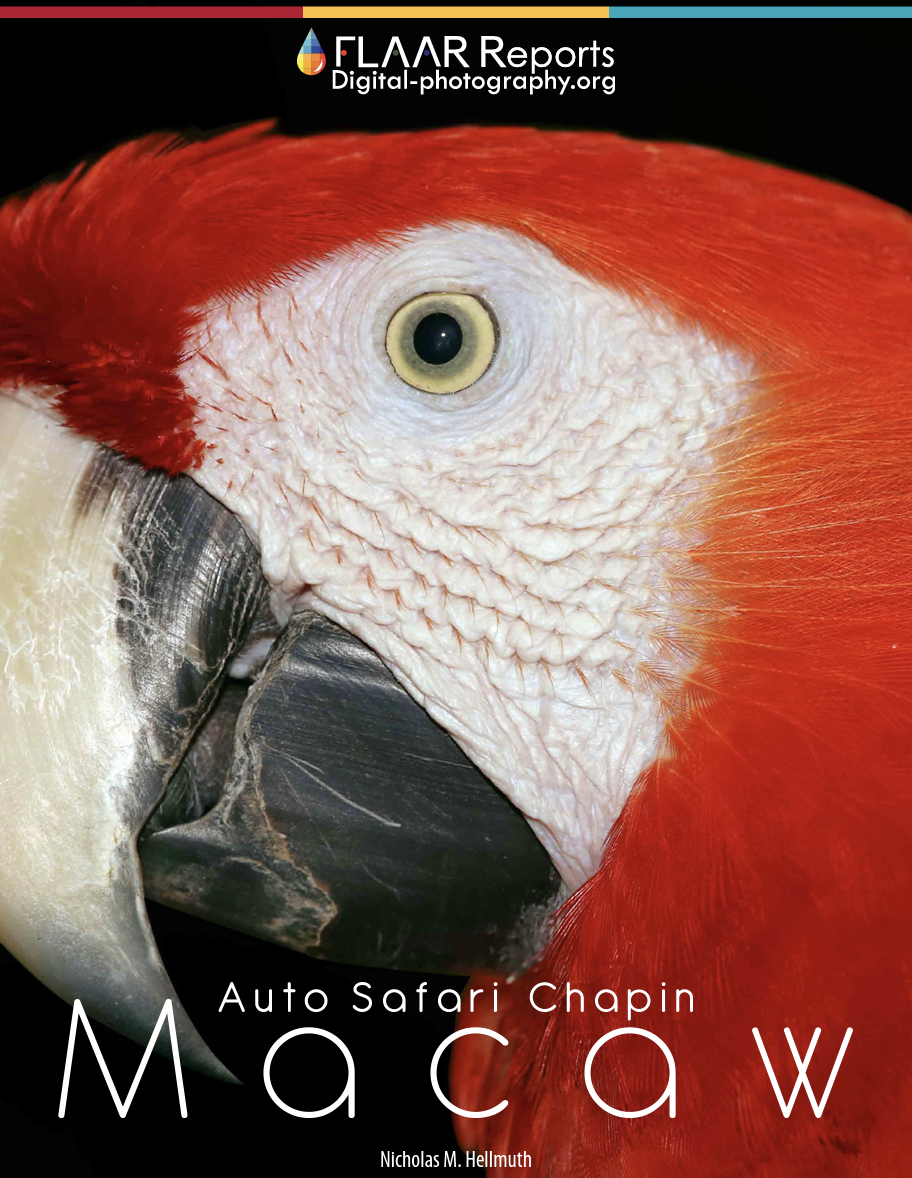 https://flaar-mesoamerica.org/wp-content/uploads/2023/10/Auto-safari-chapin-Macaw
