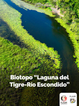 Biotopo-Laguna-del-Tigre-Rio-Escondido-Plants-Birds-Ecosystems-NH-october-2023-1-1