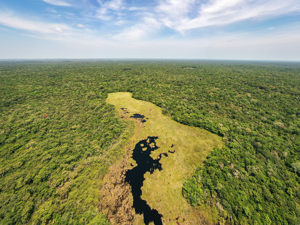 Humedal “Los Gallos”, Concesión Forestal La Gloria, Reserva de Biosfera Maya (RBM), Petén. Photograph by: Haniel López, 2022.
