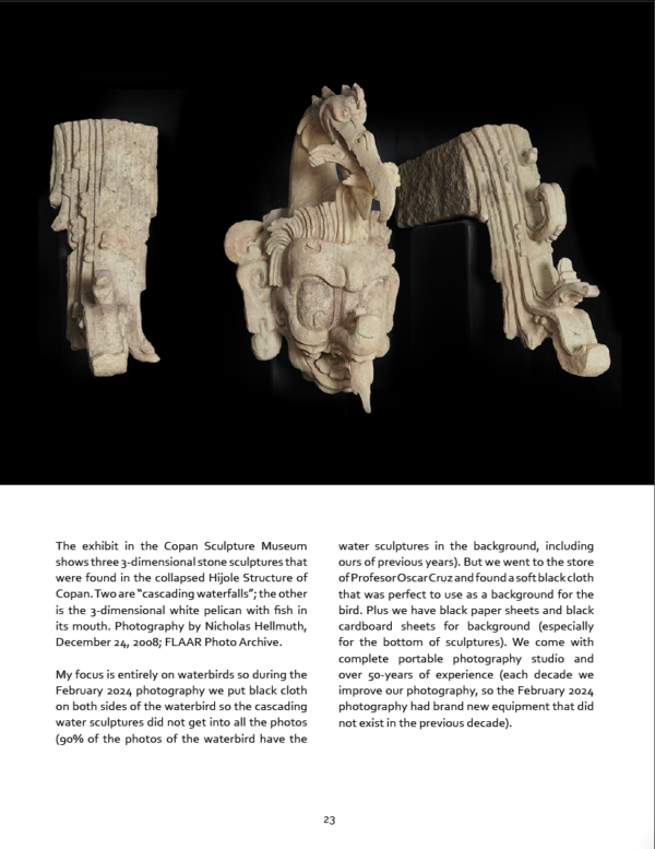 Copan-White-Male-Pelican-eating-a-Fish-3D-stone-sculpture-Feb-2024-NH-DA