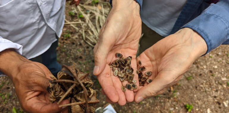 From finding prehistoric fish to locating wild vanilla flowers: the valuable support of park rangers