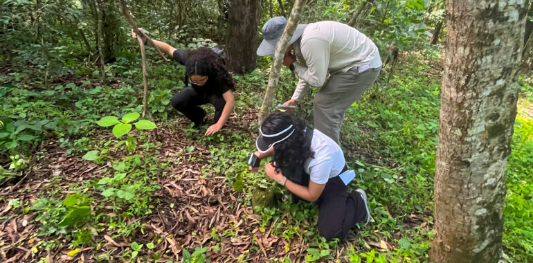 Our Second Biodiversity Workshop