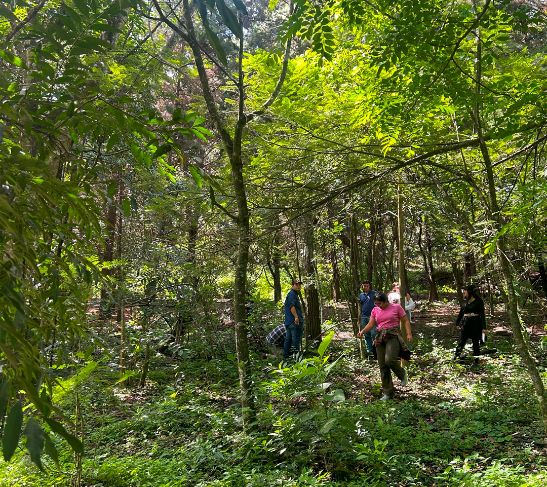 undegraduates-fieldwork-Parque-Nacional-Naciones-Unidas-Aug-27-2024-MR