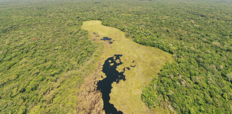 Unexplored habitats: the floodable savannas of Petén