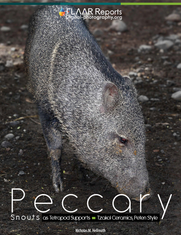 Peccary_Snouts_and_tetrapod_supports_FLAAR_Reports_Nicholas_Hellmuth