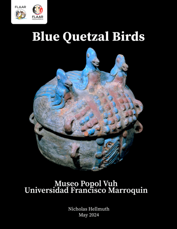 Blue-Quetzal-Birds-Museo-Popol-Vuh-Universidad-Francisco-Marroquin-May-2024