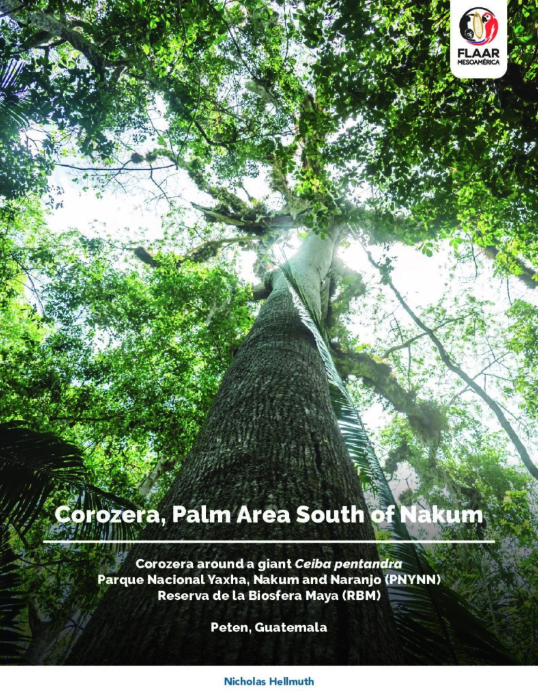 corozera-Yaxha-to-Nakum-south-Corozera-Ceiba-pentandra-iPhone-13ProMax-1239pm-May-11-2022-AG_cover