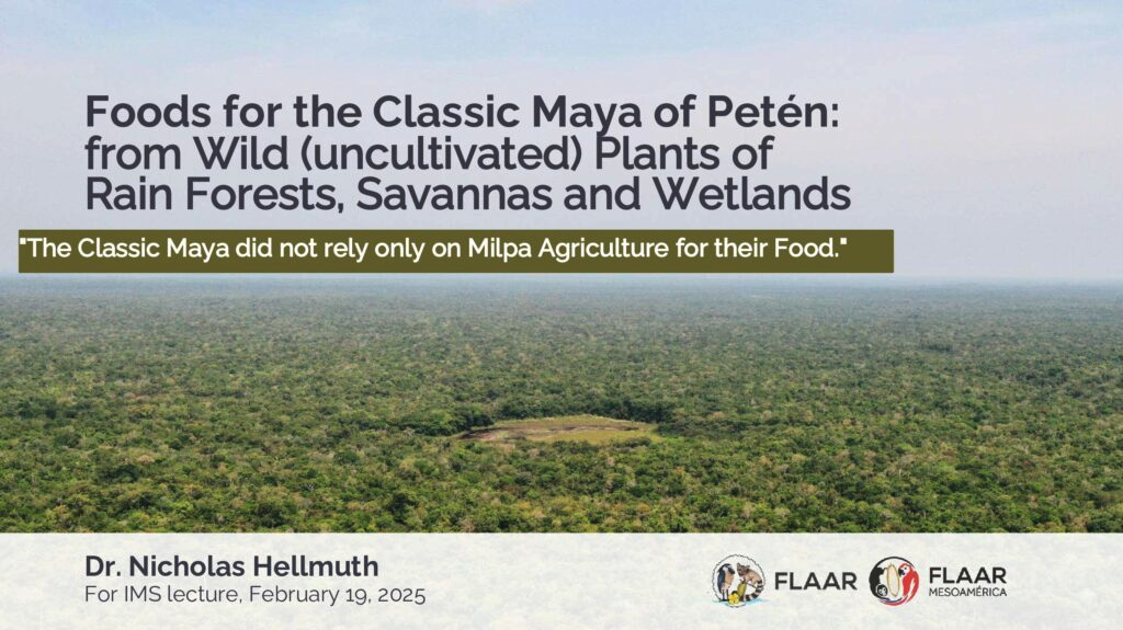 preview-edible-wild-native-plants-of-Peten-RBM-Guatemala-IMS-lecture-by-Nicholas-Hellmuth