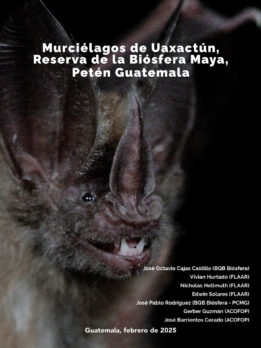 Murcielagos-de-Uaxactun-RBM-Peten-FLAAR-BQB-ACOFOP- Marzo-2025-1