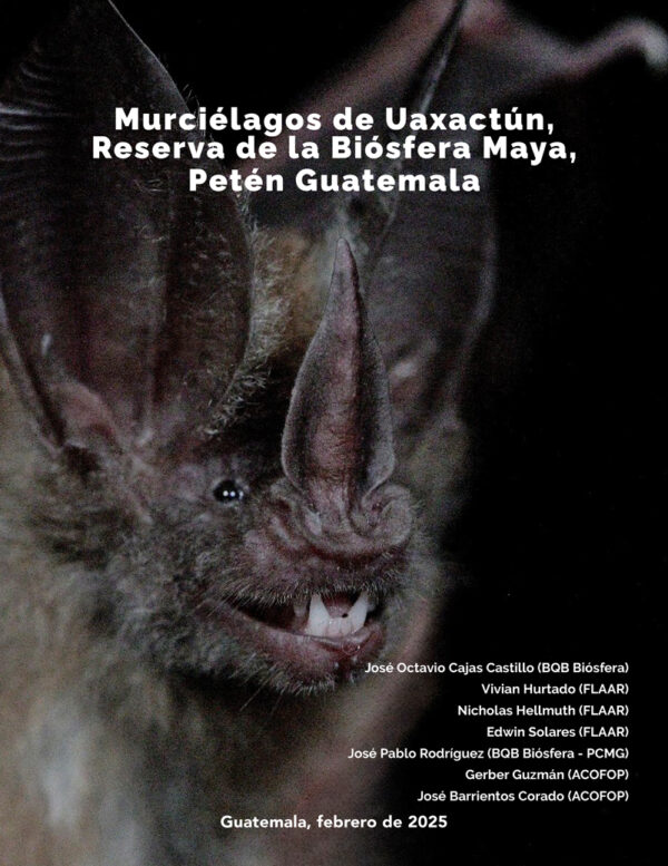 Murcielagos-de-Uaxactun-RBM-Peten-FLAAR-BQB-ACOFOP- Marzo-2025-1