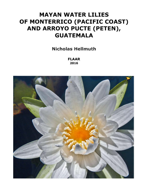 Waterlily-Nymphaea-ampla-Arroyo-Pucte-Peten-Monterriro-Costa-Sur-Nicholas-Hellmuth-FLAAR-Reports-2016