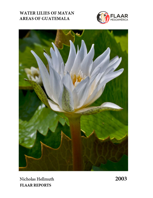 Waterlily-of-Guatemala_FLAAR_Reports-Nicholas-Hellmuth